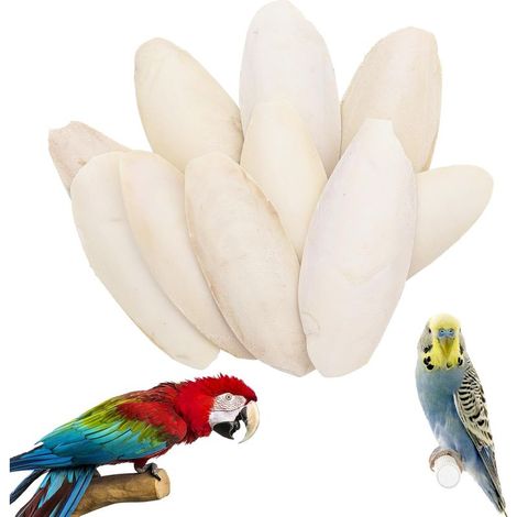 10 installed 8-11 cm cuttlebone torus, cuttlebone birds, suitable for birds, tortoises and reptiles, can also be used as toys. (1/5)