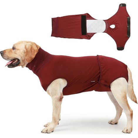 Combinaison post-opératoire pour chien, alternative à la collerette, combinaison de stérilisation/castration, combinaison de récupération chirurgicale (XL), rouge, XL (1/5)