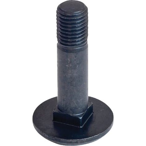 Vite a testa piatta M16x65-10,9 RABE 22044905