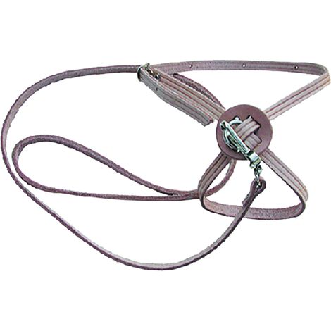 1PZ GUINZAGLIO PER CANE/GATTO larg. mm 10 lung. cm 60