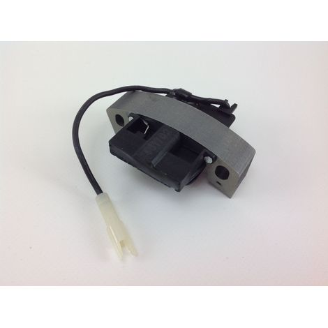 Alternador motor cortacésped BRIGGS&STRATTON 794103 (1/4)