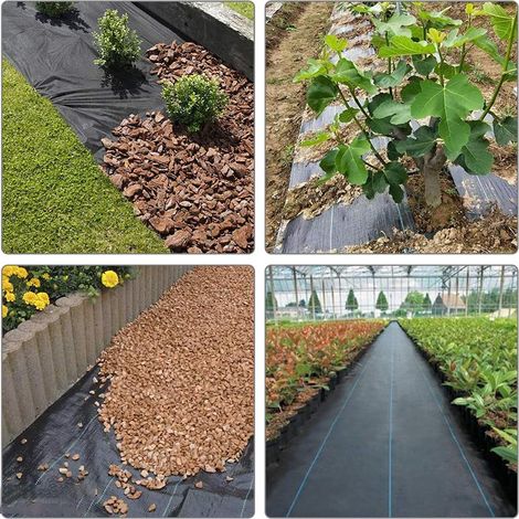 30 Stück Bambus-Pflanzenetiketten, grüne Baumtyp-Pflanzenmarkierungen, hölzerne Gartenetiketten für Garten-Topfgemüse