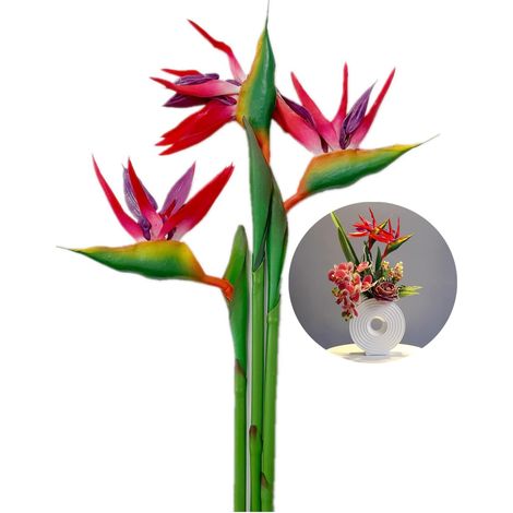 Strelitzia Lot de 3 grands oiseaux de paradis 73,7 cm fleurs permanentes imitant les plantes tropicales imitation plantes tropicales en caoutchouc souple PU, plantes artificielles pour la maison et le (1/5)