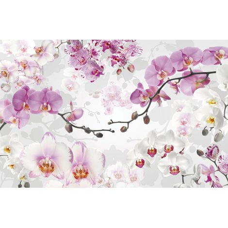Komar Wandtapete - Allure - 260 x 400 cm - Vlies Digitaldruck - Modern