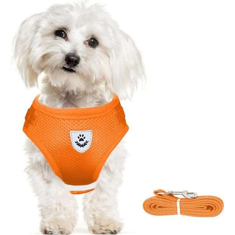 Pettorina per cani con guinzaglio riflettente, regolabile, traspirante, arancione, taglia XS