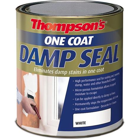 Thompsons One Coat Damp Seal - 2.5L