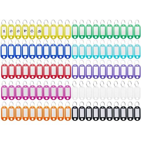 100 Pièces Porte-Clés, Étiquettes de Clé en Plastique, Inscriptibles Porte Clef Couleur en 10 Couleurs, en étiquettes d'identification avec Porte-Clé, pour Clefs, Bagages ou bureau (1/5)