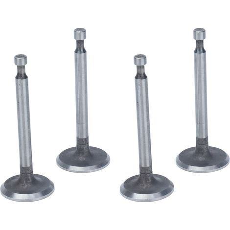 Kit de 2 soupapes moteur en acier inoxydable pour moteurs 168F GX160 (2 kW, 2,5 kW, 3 kW) (1/5)