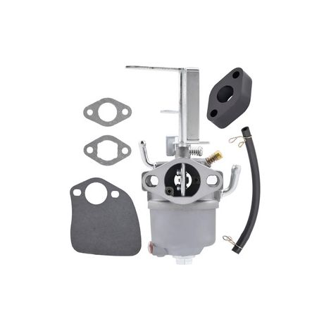 Carburateur 119-1980 pour souffleuse TORO – Réf. 520-876 PC180 418ZR 38272, kit remplacement complet (1/5)