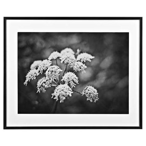 Cadre aluminium pour exposition 70x100cm noir