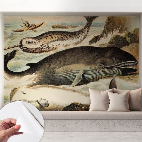Papier peint autocollant avec imprimé pour décoration intérieure pour rénovation a motif Géants marins 208x146 cm (1/5)