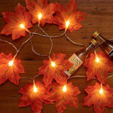 CATENA GHIRLANDA LUMINOSA 2 METRI 10 LED HALLOWEEN A BATTERIA AUTUNNO LUCI (1/5)