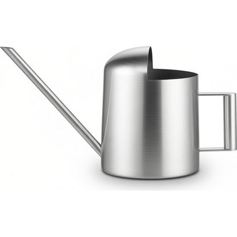 Mini arrosoir en acier inoxydable de style moderne, outils de jardin, taille pour plantes sur table, 300 ml
