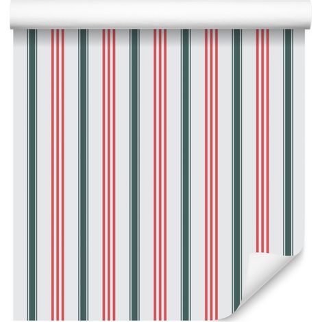 Carta da parati moderna con strisce verticali colorate per soggiorno e camera da letto 50x1000 (1/5)