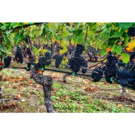 Filet Anti Oiseaux, 4m x 10m Filet Oiseaux, Filet Protection Oiseaux, Filet Arbre Fruitier, Filet Oiseaux Noir (1/4)