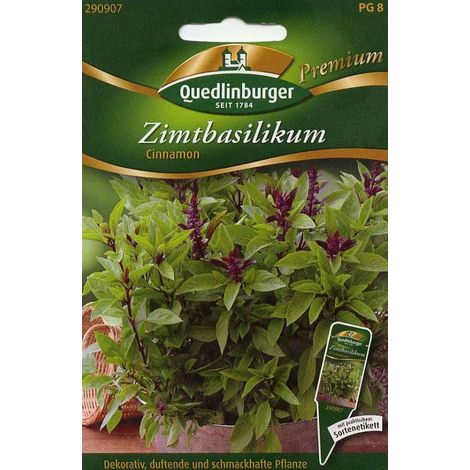 Quedlinburger Zimtbasilikum Cinnamon - Premium Kräutersamen (1/2)