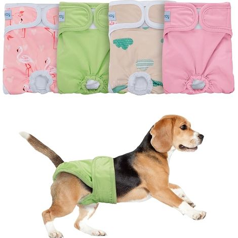 Teamoy Couche réutilisable pour Chien Femelle (Paquet de 4), M Culottes Hygiéniques Super Absorbantes pour Chiennes (Lot de 4, Lavables) (1/5)