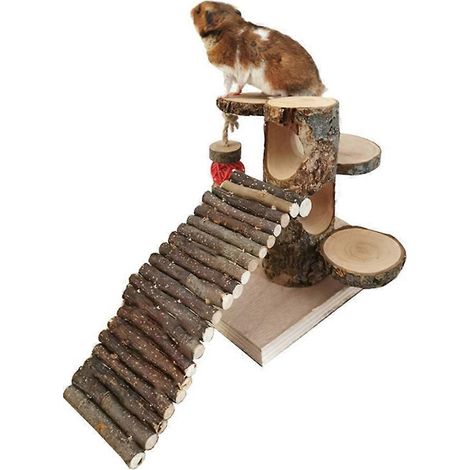 Échelle à hamster empilable en bois : un jouet polyvalent offrant de nombreuses possibilités d'exploration. (1/4)