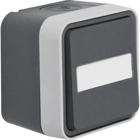 Interruttore configurabile Berker grigio chiaro IP55