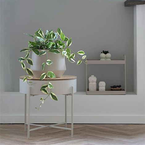 Plante artificielle hoya carnosa en pot (1/3)