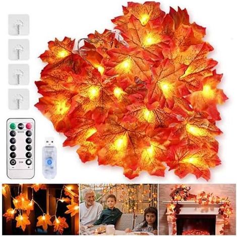 Guirlande d'automne - FOLAY - 6M 40 LED - Blanc chaud - Rechargeable USB - LED - Contemporain (1/3)