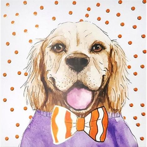 Carta arancione KW Dog