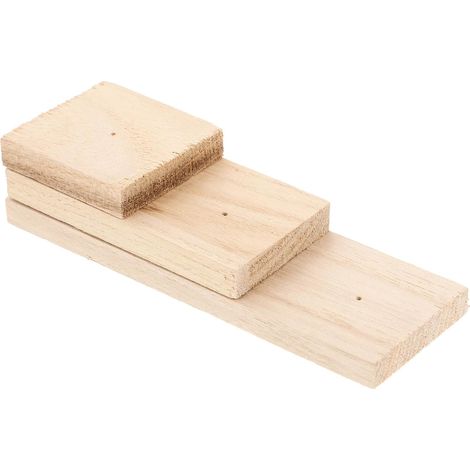 Présentoir à Spécimens Trou pour Épingle pour Collection Support Créatif et Chic en Bois pour Affichage D'insectes et Expérimentation Personnelle (1/5)