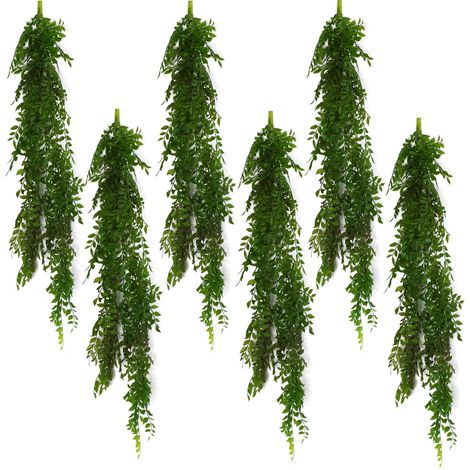 6 x 100cm Hanging String of Pearls Fern Plant Dark Green - Premium Quality (1/5)