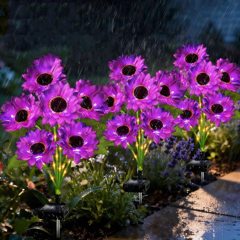 Lot de 3 lampes solaires tournesols violets – 18 fleurs LED, décor automnal – Étanches, piquets à enfoncer – Allumage automatique – Idéales pour jardin, pelouse et terrasse – Cadeau parfait pour femme (1/5)