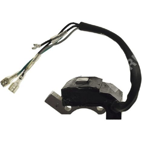 Bobina accensione per motogeneratori GREEN LINE 7250168 COMPATIBILE - 014589