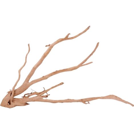 XXL Moorkienwurzel Nr.4337 Holz Deko Aquascaping