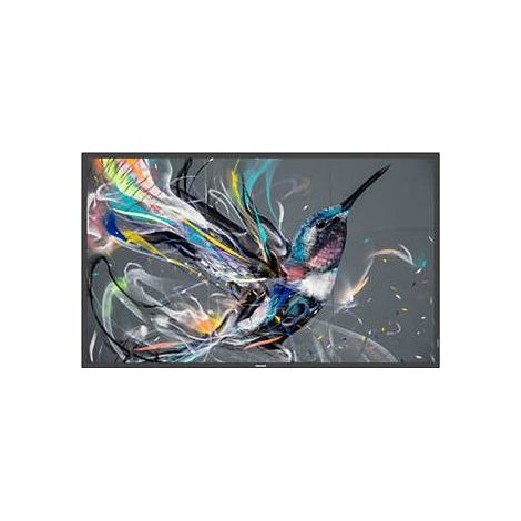 Philips 43BDL3510Q/00 43" Display (1/2)