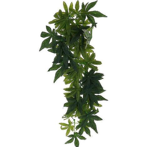 Plante grimpante Repital Jungle pour terrarium, idéale pour les caméléons et les serpents (30 cm).-Type 2 - 50CM