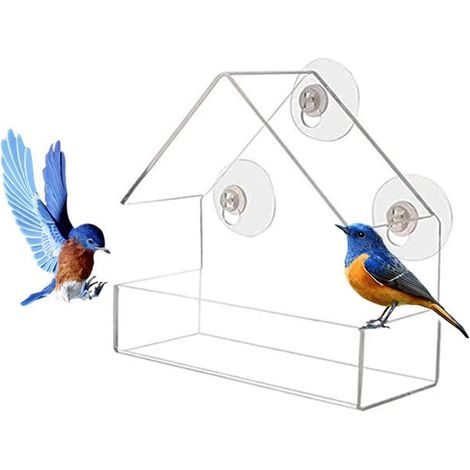 Nichoir suspendu, mangeoire à oiseaux pour fenêtre, mangeoire extérieure à ventouse, facile à nettoyer, pour petits oiseaux comme les mésanges et les moineaux. (1/5)