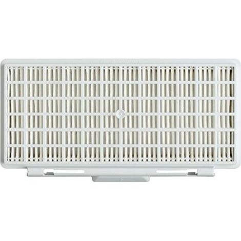 Filtro Hepa 154HF - Aspirapolvere - BOSCH - 2932273663946941843