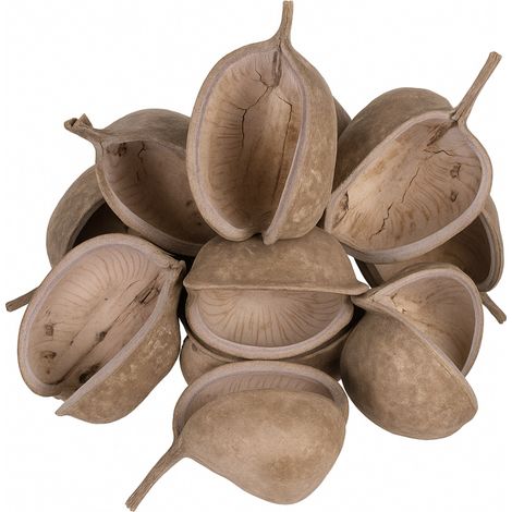 Buddha Nut XL - un giocattolo per pappagalli grandi e piccoli (1/5)