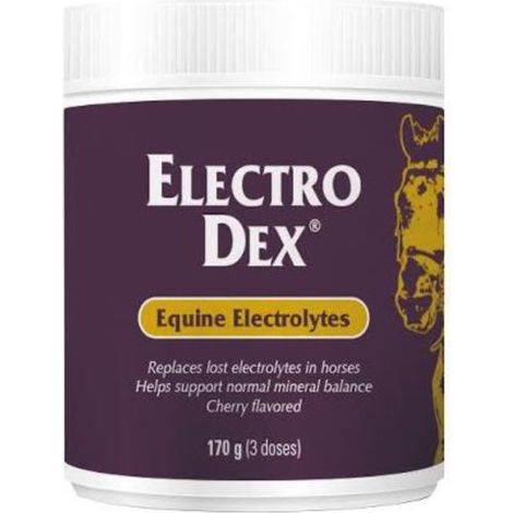 Vetnova Electro Dex Mini 170 g - lsliche Salze