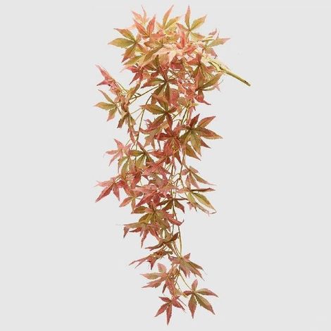 CESPUGLIO ACERO GIAPPONESE OLIS H95CM (1/2)