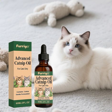 Les gouttes d'huile essentielle de cataire apaisent les émotions des chats, soulagent le stress, calment l'anxiété et améliorent les interactions liées au stress. (1/4)