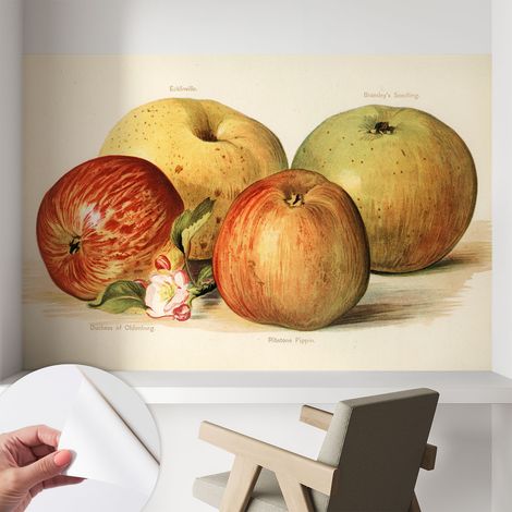 Selbstklebend Tapete modern Wohnzimmer - Wanddekoration - einfach anzubringen Äpfel und Blumen 104x70 cm (1/5)