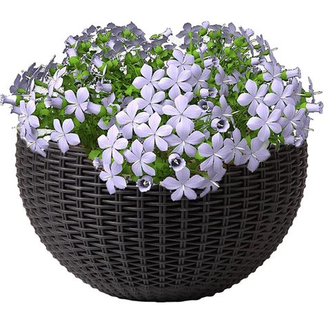 Pflanztopf montierter Blumenhalter stilvoller