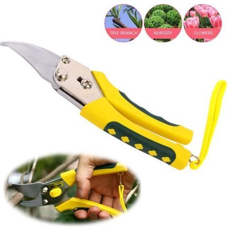 Garden Secateurs - High Quality - 20 cm - SK5 Alloy Steel - Ergonomic Handle - Safety Lock (1/4)