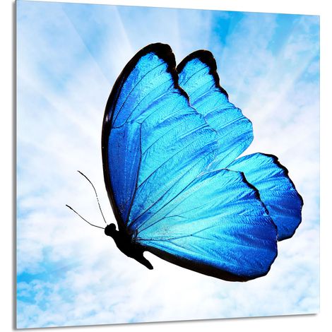 Panneau de verre pour cuisine 60x65 Papillon (1/5)