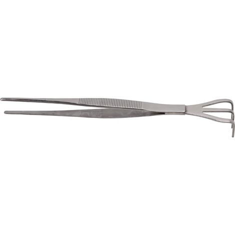 Râteau déracineur avec pince 3 dents en acier inoxydable, outil pour ameublir le sol des bonsaïs, manche ergonomique droit (1/5)