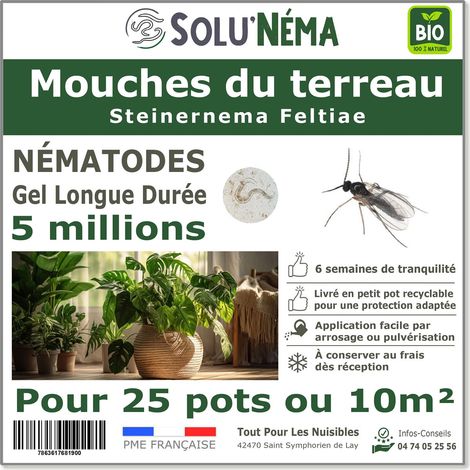 Nématodes SF contre la Mouche du Terreau - 5 millions Steinernema Feltiae - Traitement pour 25 pots soit environ 10m²