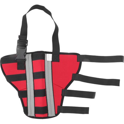 Genouillère Pour Chien - Support Articulation Post-Chirurgie - Matériau Néoprène Respirant - Taille S Avec Bandes Réfléchissantes (1/5)