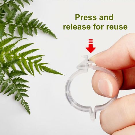 300 Pièce Clip en Plastique sécurisé pour Plantes, Clips Support pour Attacher Les Plantes de jardin, Plant Support Clips, Attache Tomate pour Les légumes Tomate Vigne tiges de Croissance (150Blanc) (1/4)