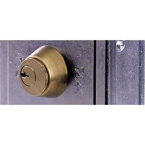 Cylindre Serrure Exterieur N°10 Pour Electro-Serrure FAAC