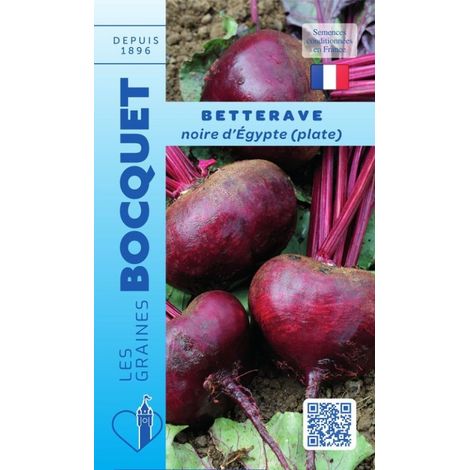 Betterave noire d'Egypte (plate) - 7g