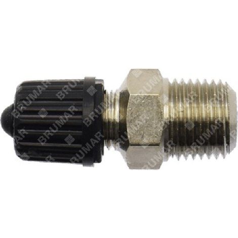 Luftventil für KOMPATIBLE BERTOLINI-Pumpen - 055643